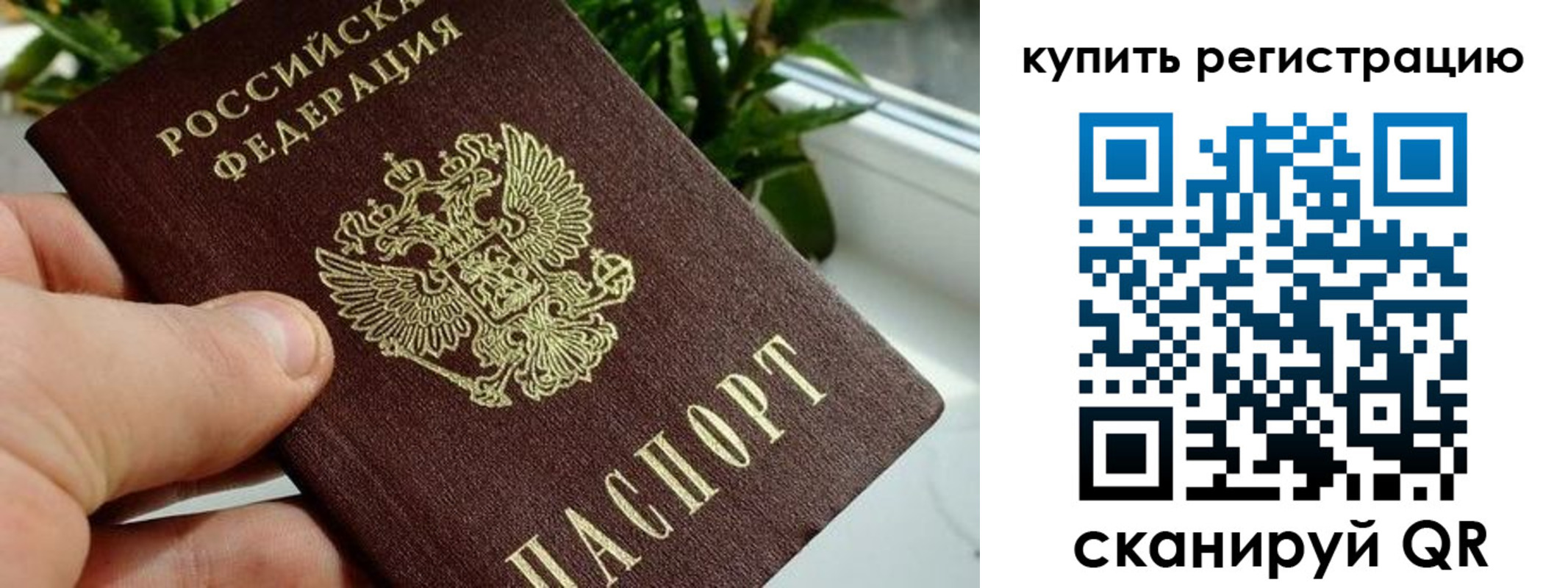 прописка гарантия в Миассе